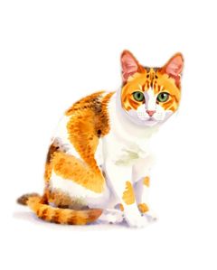 Example watercolor portrait of a calico cat